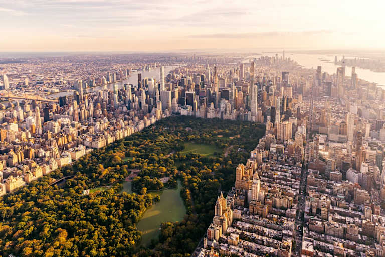 Best Online Colleges in New York of 2025